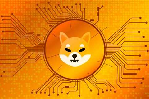 Shiba Inu Crypto