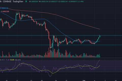 SHIBA Inu (SHIB) Price Climbs Towards 200 DMA AT $0.000025 - Shiba Inu Market News