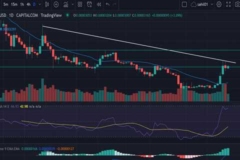 SHIBA Inu (SHIB) Price Struggles Below $0.000032, Is Trend Reversal On The Cards? - Shiba Inu..