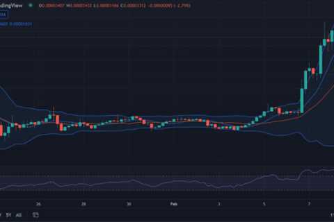 Shiba Inu price analysis: SHIB shows enormous positive potential towards $0.00003400 - Shiba Inu..