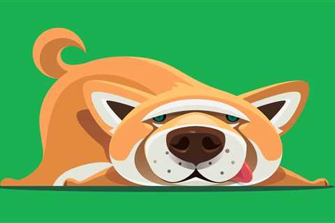 Chasing its tail? Shiba Inu price tumbles today following 38% leap - Shiba Inu Market News