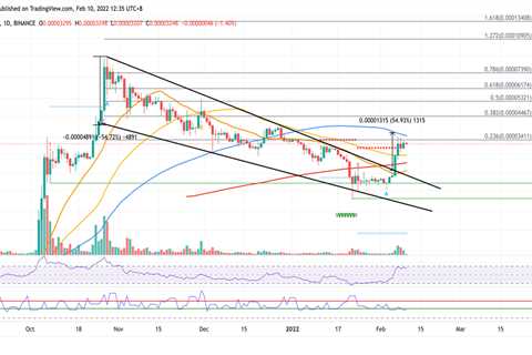 Shiba Inu price prepares for major boost as SHIB gets listed on top Brazilian crypto exchange -..