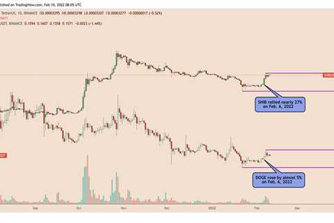 Newbie Shiba Inu bites back, gains 25% vs. Dogecoin in February