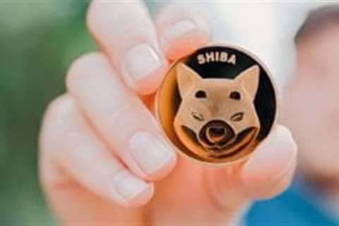 Shiba Inu Is Gaining Acceptance and Is Leveraged to Bitcoin's Rally - Shiba Inu Market News