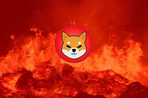 Shiba Inu Valentine Not Over Yet, 500 Million Shib Burn Coming Today, Over 306M Shiba Tokens Burned ..