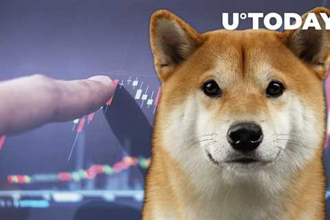 Shiba Inu Trading Commences on This Popular Exchange in Earnest: Details - Shiba Inu Market News