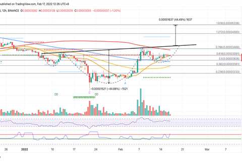 SHIB bulls poised for 44% upswing - Shiba Inu Market News