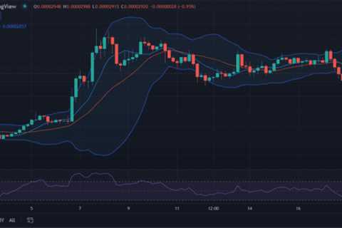 Shiba Inu price analysis: SHIB gains momentum for $0.00002950 - Shiba Inu Market News