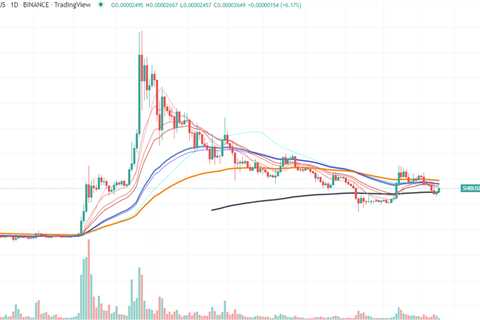 Shiba Inu Reaches Local Price Bottom According to This Technical Indicator - Shiba Inu Market News