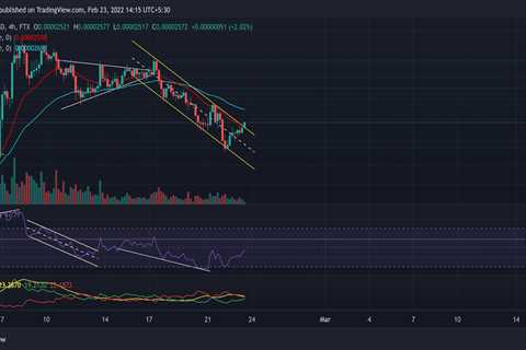 Shiba Inu, Tezos, VeChain Price Analysis: 23 February - Shiba Inu Market News