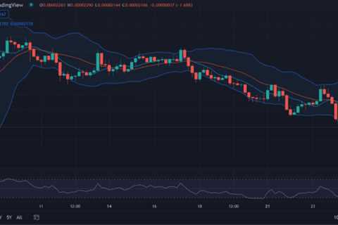 SHIB/USD bearish for the next 24 hours - Shiba Inu Market News