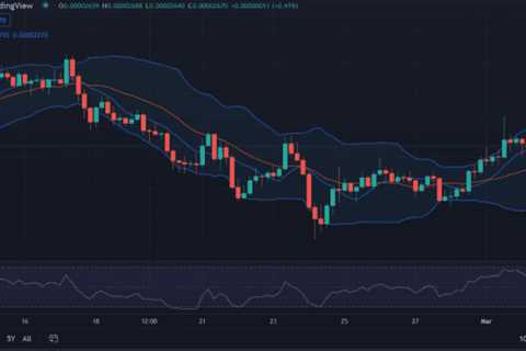 Shiba Inu price analysis: SHIB shows consistency at $0.00002670 after a bullish run - Shiba Inu..