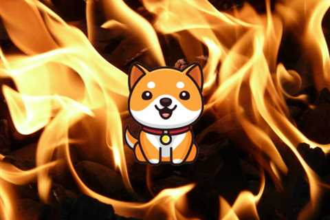 BabyDoge network burns assets worth $13M