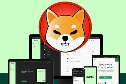 Shiba Inu Now Has 4.5 Million New Potential Holders. Are We In A SHIB Expanse?