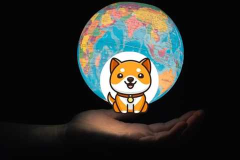 BabyDoge Coin can now be bought through credit cards; Here’s how