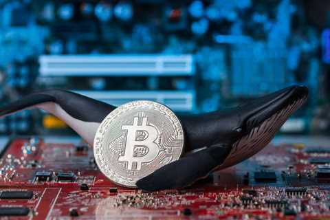 'Sleeping Whale' Awakens as Unused Bitcoin Wallet Comes Online