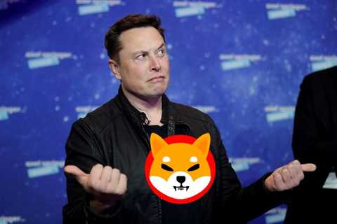 Did Elon Musk really attend a Shiba Inu live event? Here’s the Truth