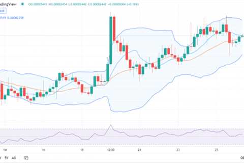 Shiba Inu price analysis: SHIB bullish at $0.00002447 - Shiba Inu Market News