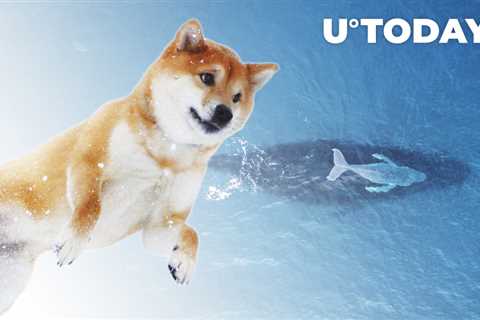 Shiba Inu Whale with 4 Trillion SHIB Increases Holdings; Here’s What Was Bought - Shiba Inu Market..