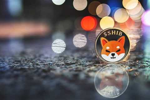 SHIB loses over 60,000 holders in two weeks as demand for the token dwindles - Shiba Inu Market News