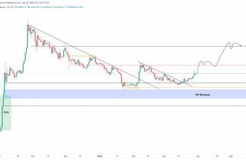 SHIB to skyrocket to $0.00005 - Shiba Inu Market News