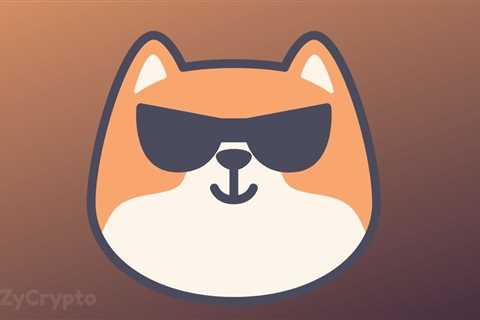 Shiba Inu Launches ‘Into The Wider Crypto Metaverse’ With ShibaDEX As SHIB Sees Mega Upswing ⋆..