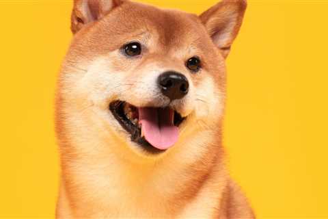 Shiba Inu Presents SHIB Metaverse With Over 100K Land Plots – Metaverse Bitcoin News - Shiba Inu..