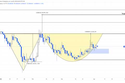 Shiba Inu price and how to capitalize on the next exponential rally - Shiba Inu Market News