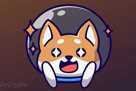 Shiba Inu Shaking Off ‘Meme Coin’ Tag With Its Metaverse, But DOGE Creator Cites No Utility For..