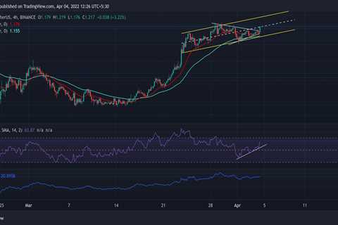 Cardano, Shiba Inu, Binance Coin, Terra Price Analysis: 04 April - Shiba Inu Market News