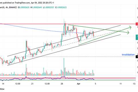 Shiba Inu price to reward patient traders with big gains ahead - Shiba Inu Market News