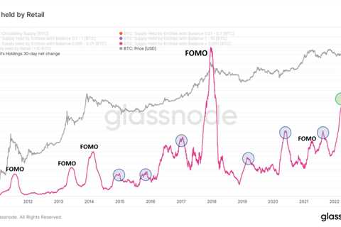 Bitcoin retail FOMO spikes most since 2017 but BTC price may still be ‘doomed’ — analyst