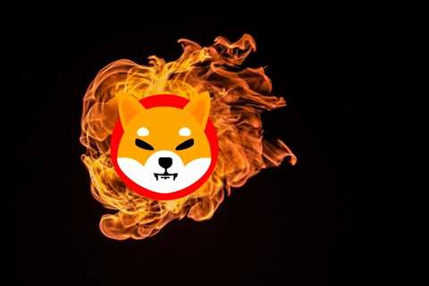 Shiba Inu burn movement lures new supporters