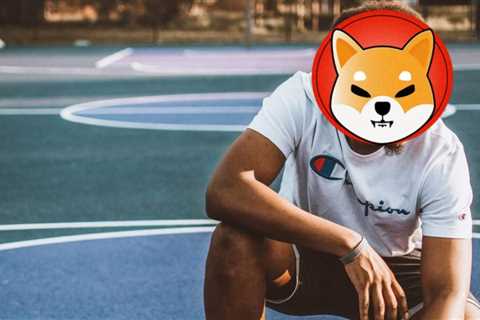 Did Champion Just Hint at a Shiba Inu Collaboration?