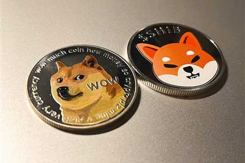 Shiba Inu Enters the Bitcoin of America Family - Shiba Inu Market News