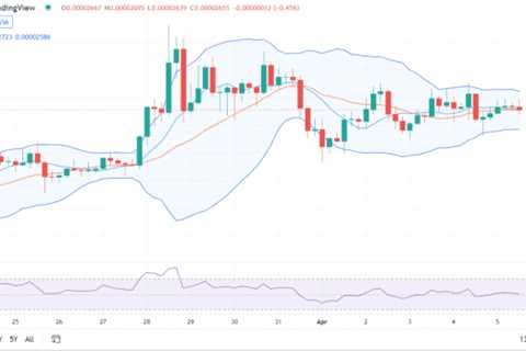 SHIB/USD set to spike higher today - Shiba Inu Market News