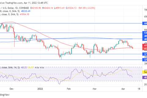 Bitcoin Drops Beneath $41K, ETH, SHIB and Other Altcoins Follow; Here Are 3 Reasons - Shiba Inu..