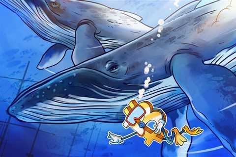 Bitcoin whales fill their bags despite warnings BTC price could fall below $40K