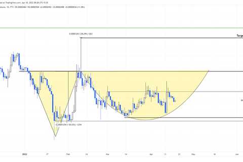 Will Shiba Inu price rally to $0.00005 this week - Shiba Inu Market News