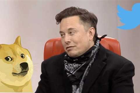 Did Elon Musk’s Tweet Rally Dogecoin by 15%?