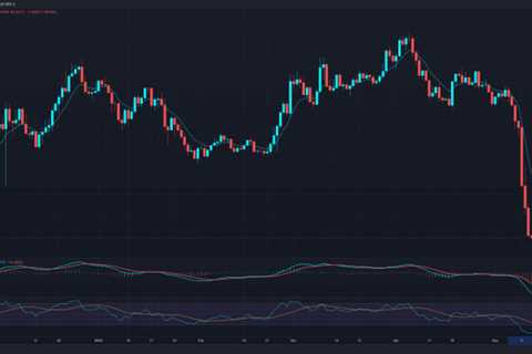 Axie Infinity (AXS) With an 8% Gain in the Last 24 Hours Despite the Crash