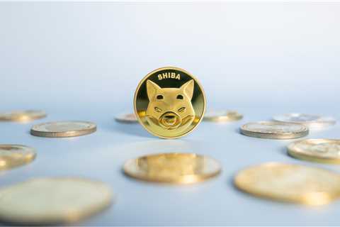 Shiba Inu Is too High Compared the Market Value of Dogecoin - Shiba Inu Market News