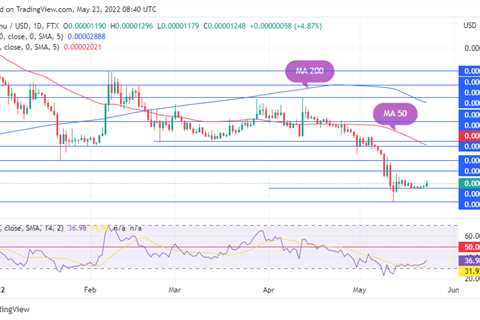 Shiba Inu Rises 10% as Price Rebounds from Key Support - Shiba Inu Market News