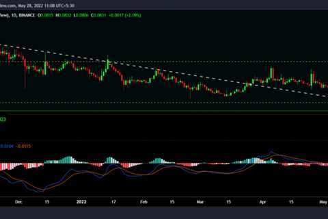 Dogecoin set to become ‘currency of space?’ Musk has answer but not…