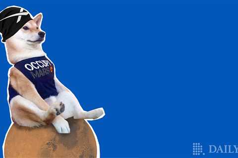 Dogecoin Pulls off Comeback as SpaceX Prepares to Accept DOGE for Merch - Shiba Inu Market News