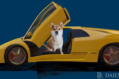 Rent a Lamborghini or Ferrari and Put the Pedal to the Metal with Shiba Inu - Shiba Inu Market News