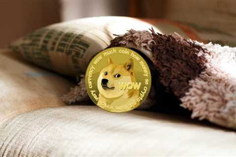 Here’s a peek into Dogecoin Core v1.14.6