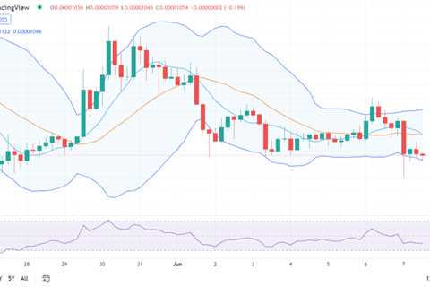 Shiba Inu price analysis: SHIB suffers devaluation at $0.00001054 - Shiba Inu Market News