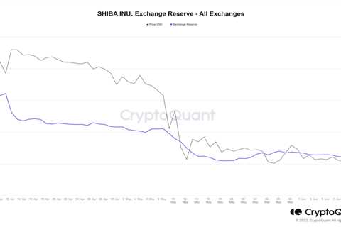 Shiba Inu faces this rare threat as burn rate declines - Shiba Inu Market News