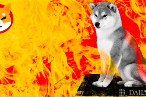 SHIB Burn Rate Spikes 332% as Over 329 Million Shiba Inu Tokens Are Set Ablaze - Shiba Inu Market..